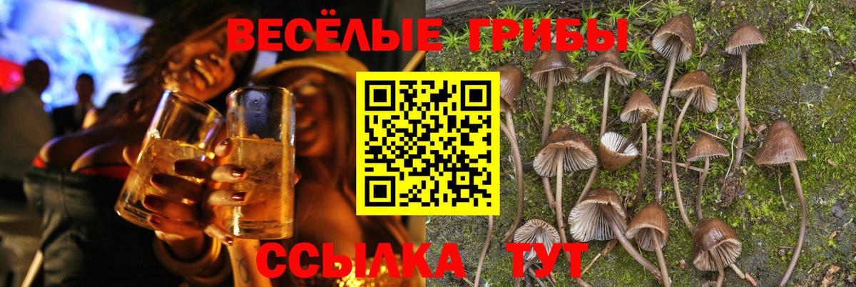 Псилоцибиновые грибы Magic Shrooms Волоколамск